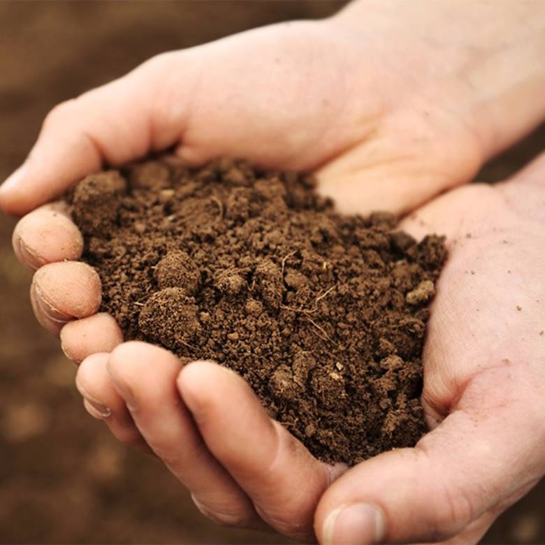 Ingeniería Geotécnica